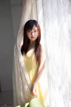 莲花宝鉴